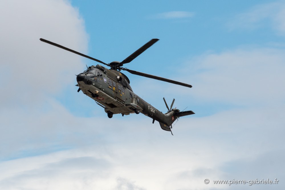puma-d500_4718.jpg