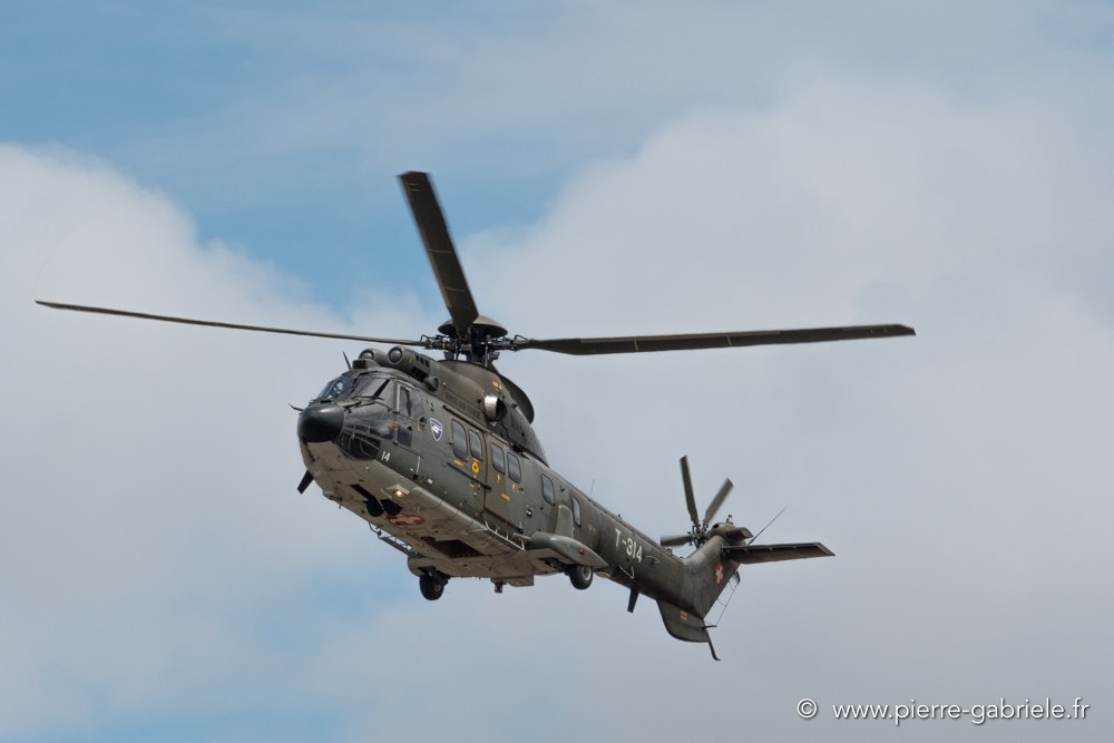 puma-d500_4719.jpg