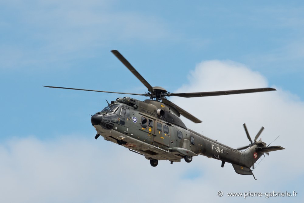 puma-d500_4720.jpg