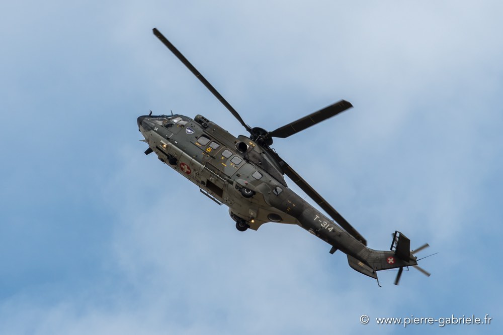 puma-d500_4723.jpg