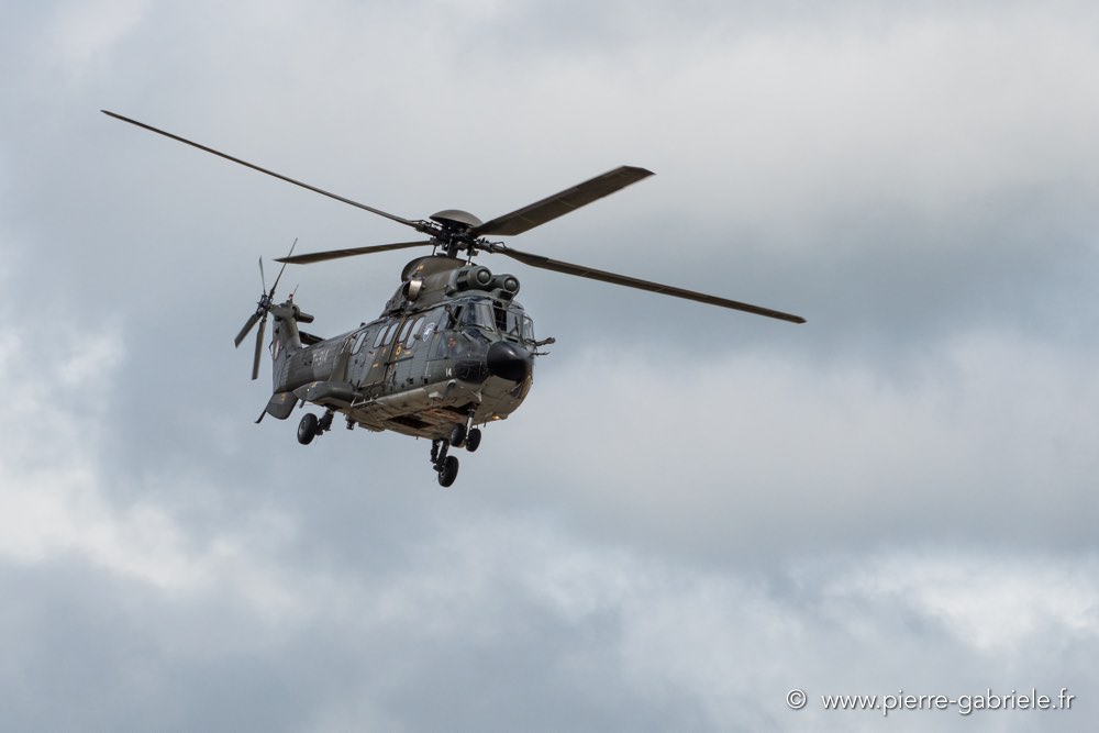 puma-d500_4725.jpg