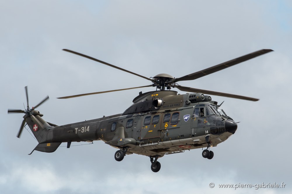 puma-d500_4727.jpg