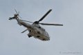puma-d500_4717