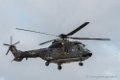 puma-d500_4728