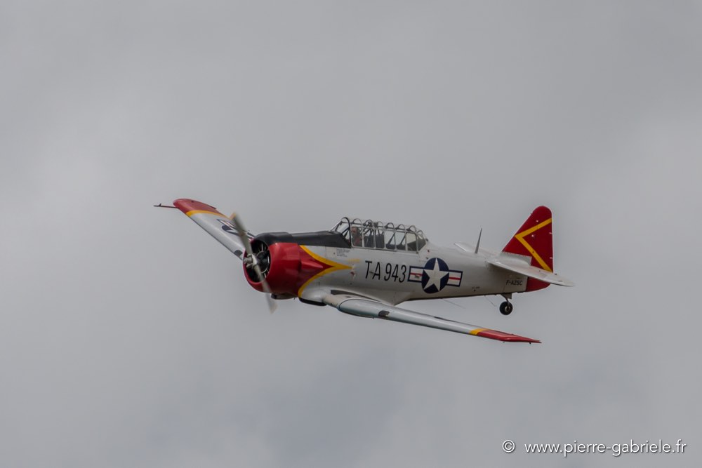 t6-d500_4748.jpg