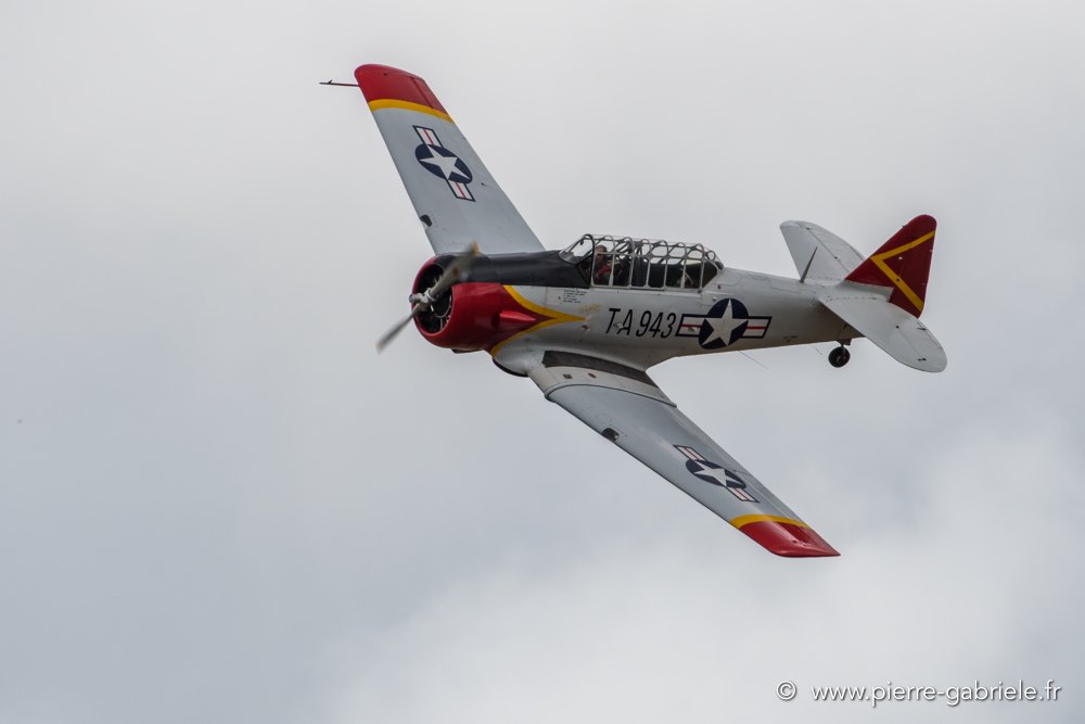 t6-d500_4749.jpg