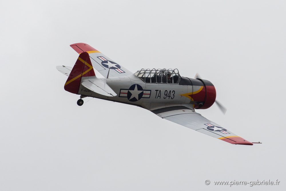 t6-d500_5151.jpg