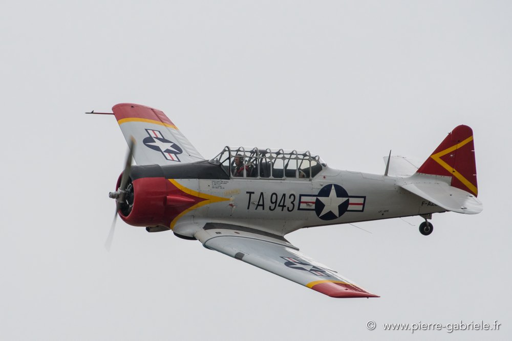 t6-d500_5161.jpg