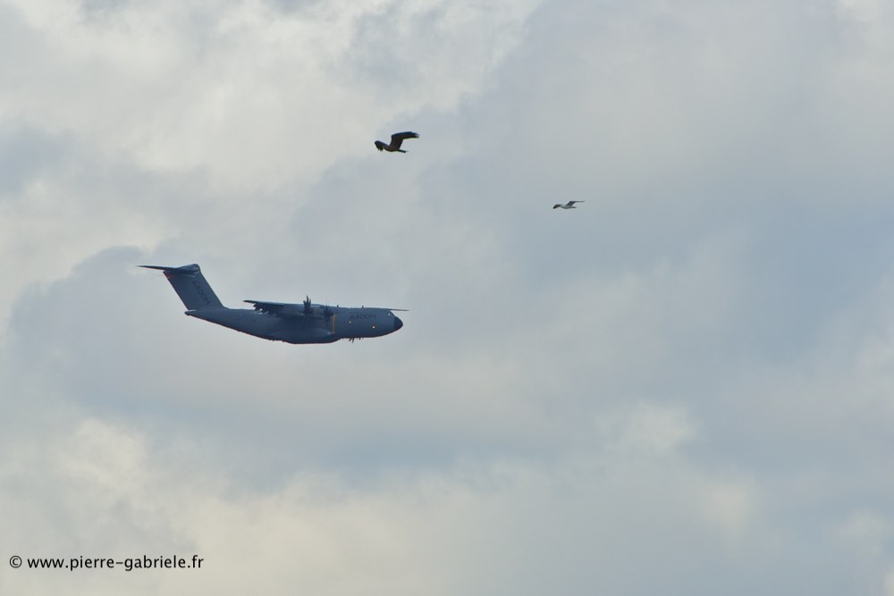 airbus-a400m_0205.jpg