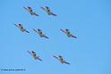 patrouille-espagne-c101_8388