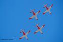 patrouille-espagne-c101_9879