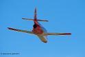 patrouille-espagne-c101_9880