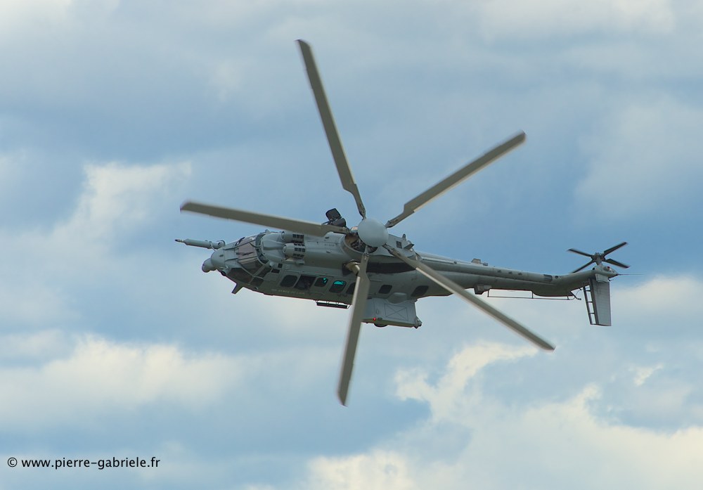 ec725_8955.jpg