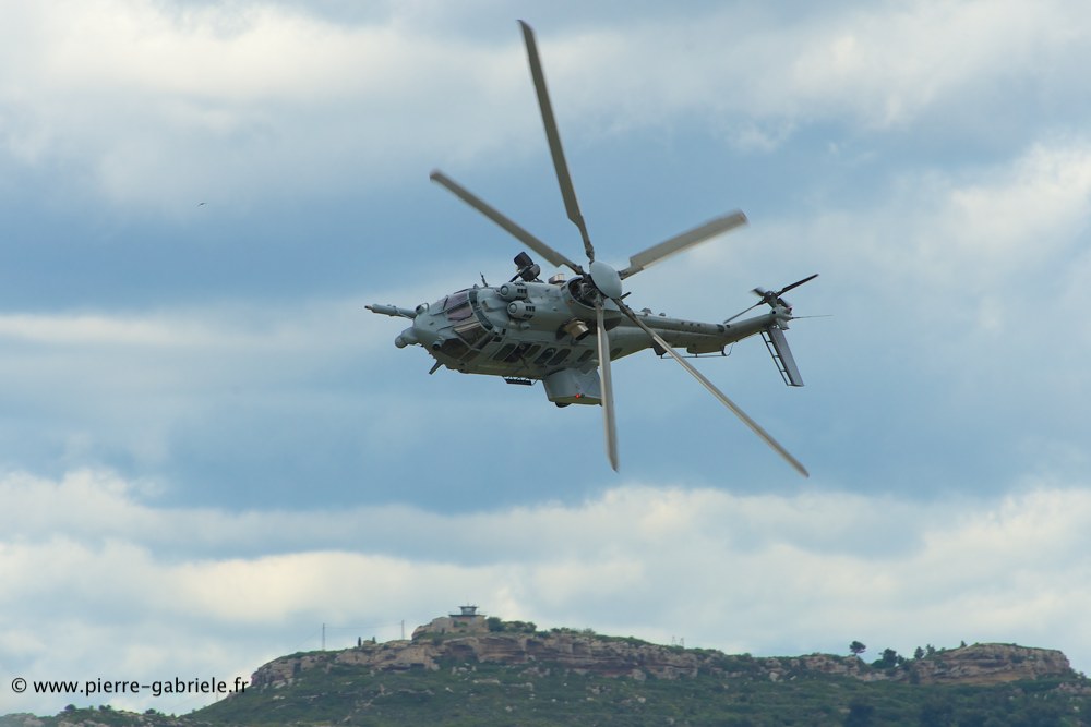 ec725_8956.jpg