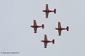 patrouille-belge-sf260_9777