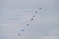 paf-finale_5196