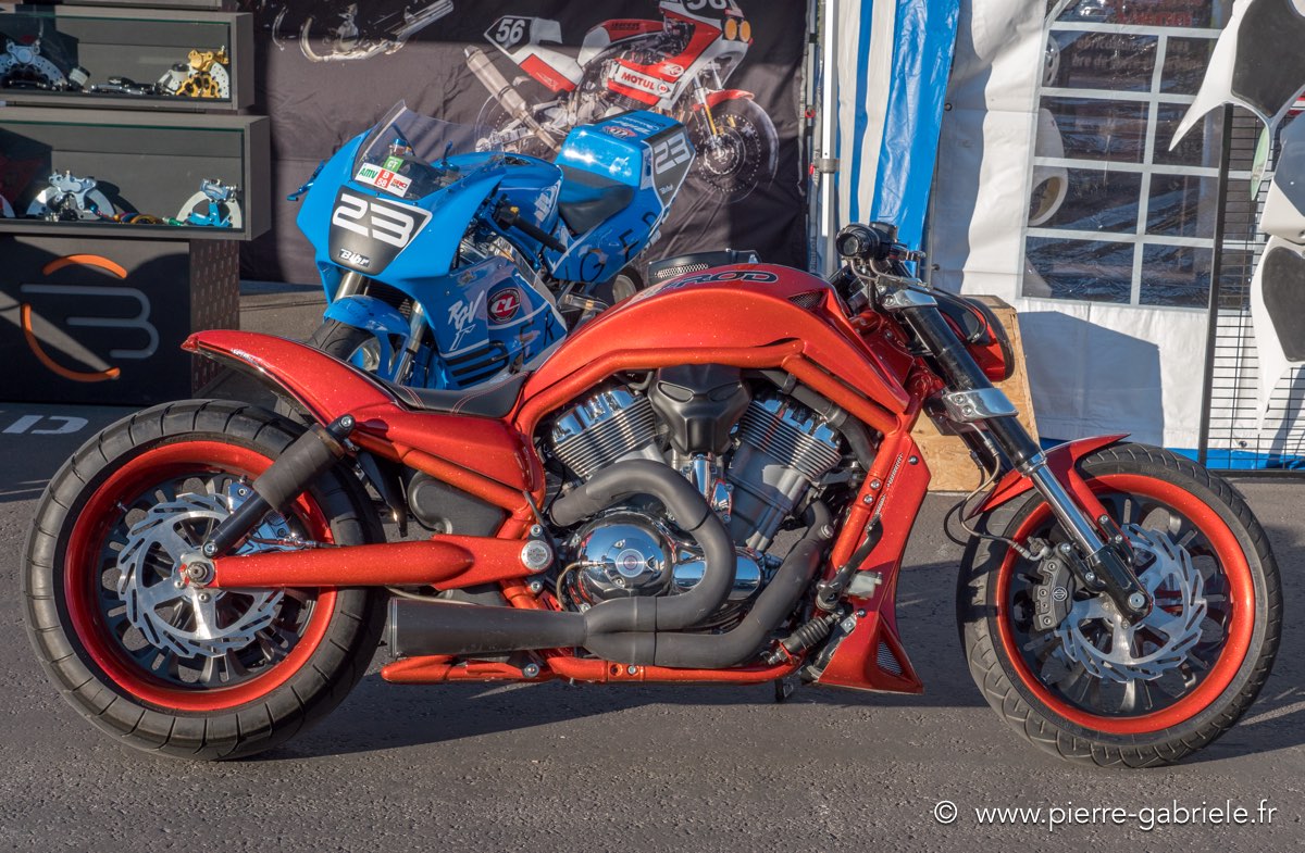 harley-gx8_0772.jpg