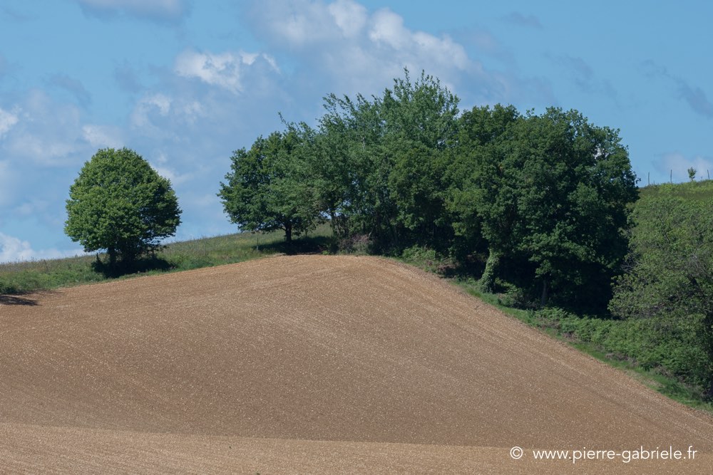 lavergnac-2017-d500_1525.jpg