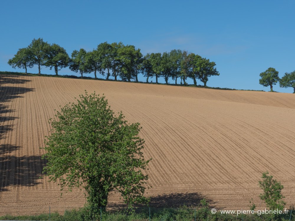 lavergnac-2017-gx8_0502.jpg