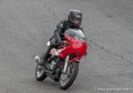 solos-g92_9283