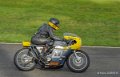 solo-gh6_5188
