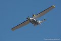 catalina_5309