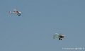 se5a-nieuport17_3153