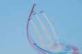 paf_3419