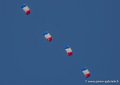 parachutistes_3094