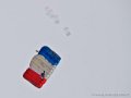 parachutistes_3516
