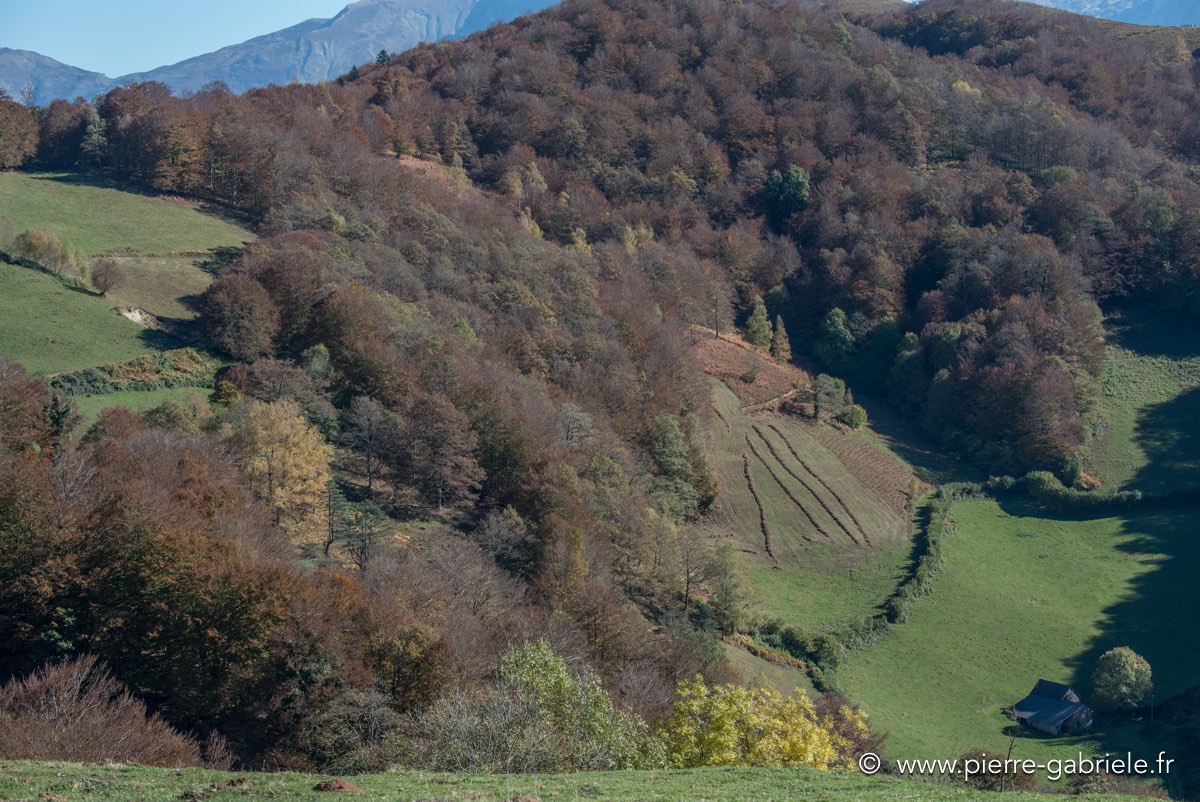 automne-2016-d750_5534.jpg