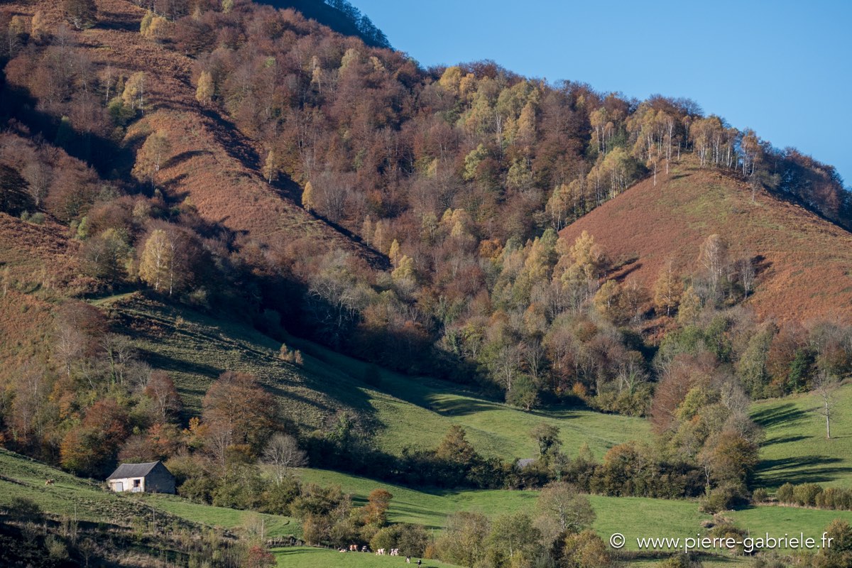 automne-2016-gx8_0025.jpg