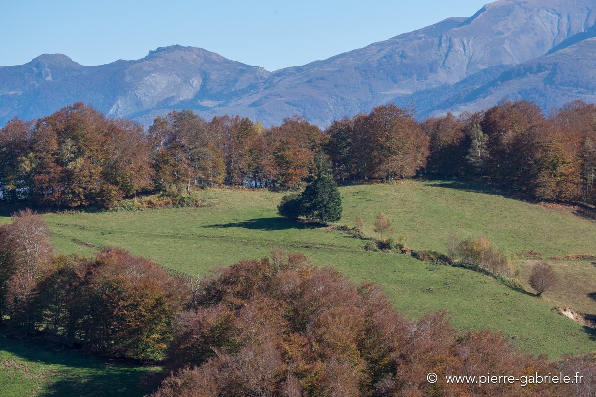 automne-2016-gx8_0035.jpg