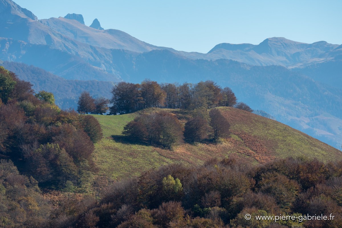 automne-2016-gx8_0037.jpg