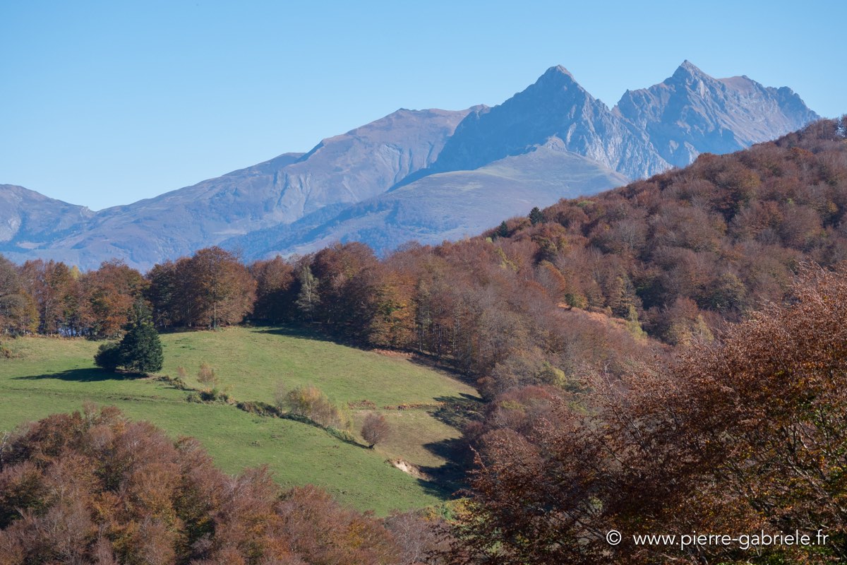 automne-2016-gx8_0038.jpg
