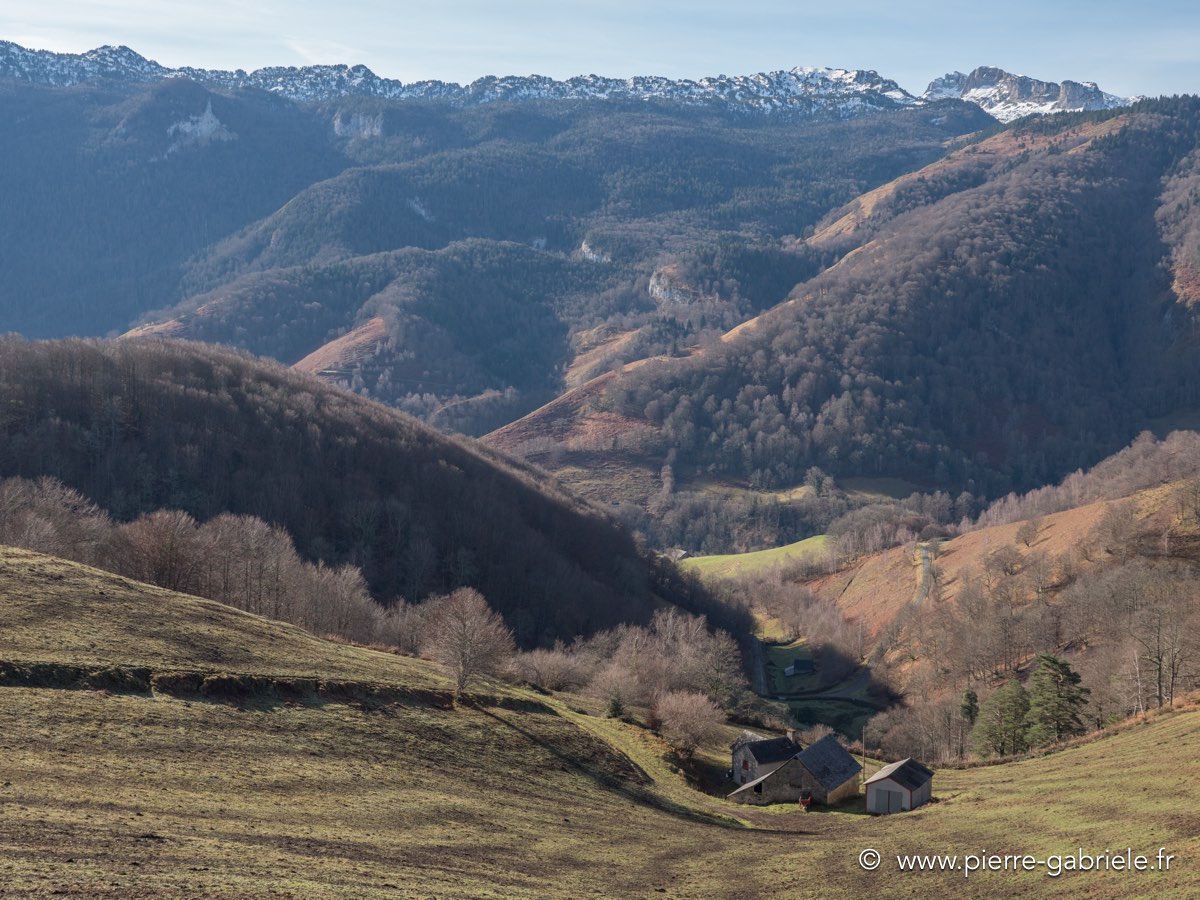 autour-osse-12-2016-gx8_0202.jpg