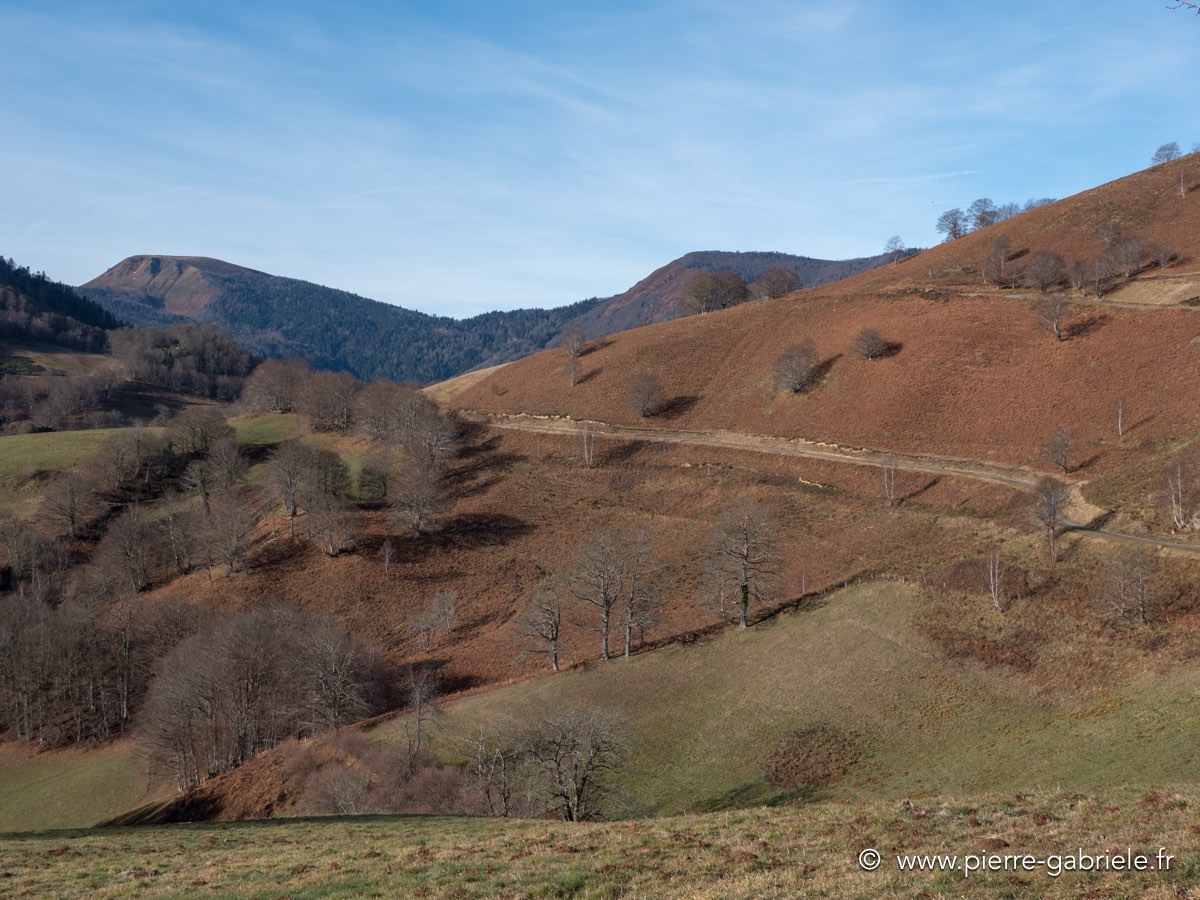 autour-osse-12-2016-gx8_0203.jpg