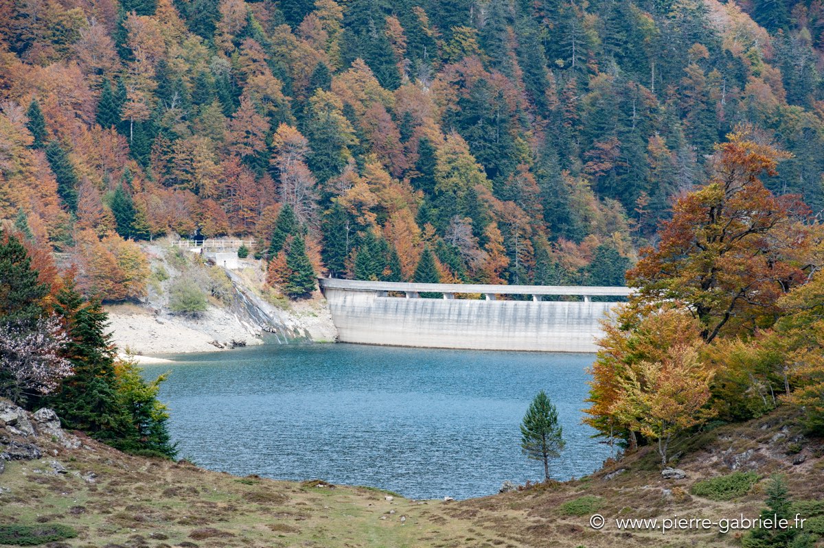 ayous_0631.jpg