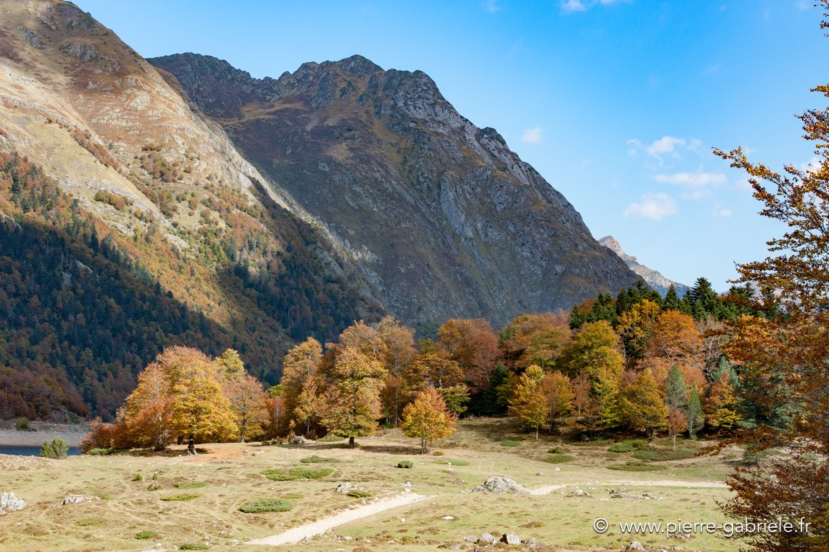 ayous_0640.jpg