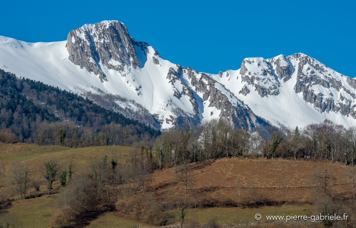 benou-03-2015_8726.jpg