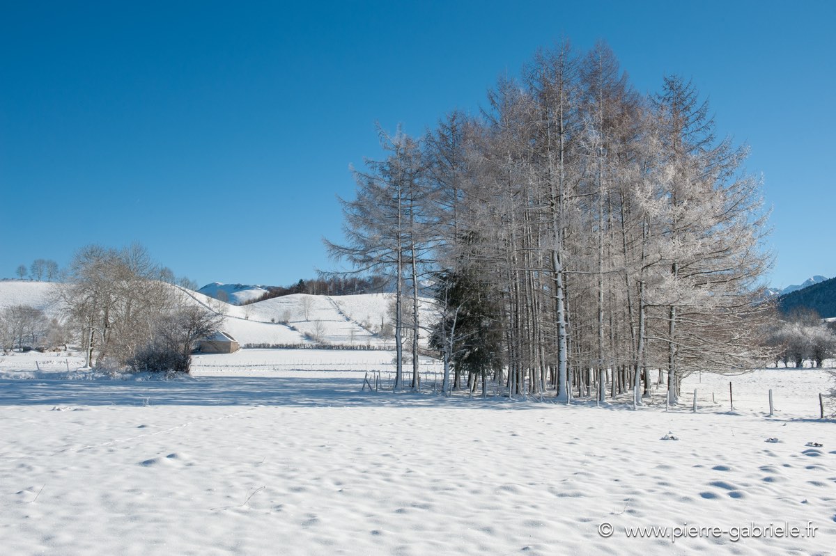 benou-12-2010_3650.jpg