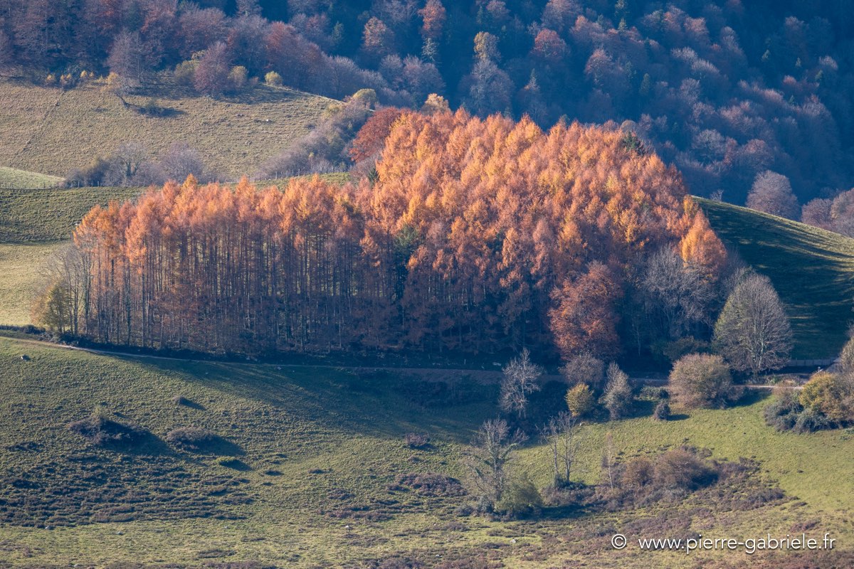 benou-gh5-leica_0070.jpg