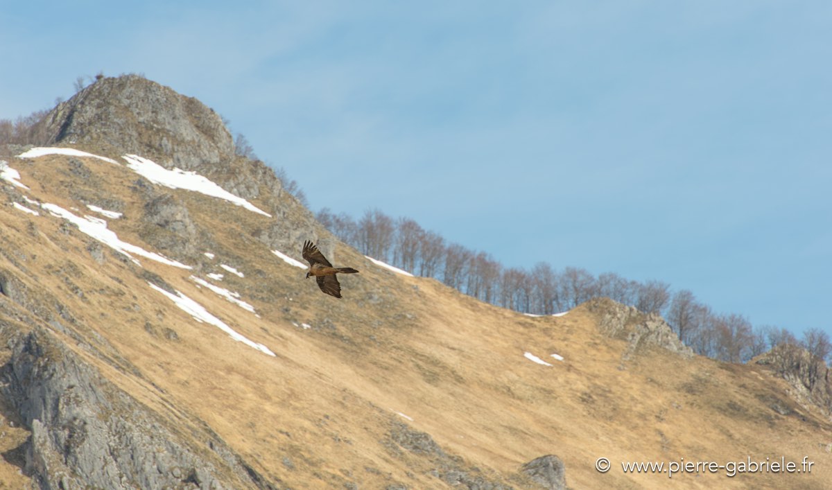 lescun-03-2013_5386.jpg