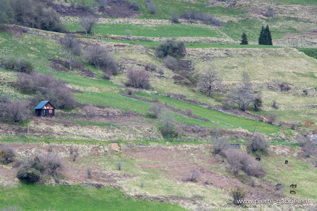 lescun-04-2016_1089.jpg