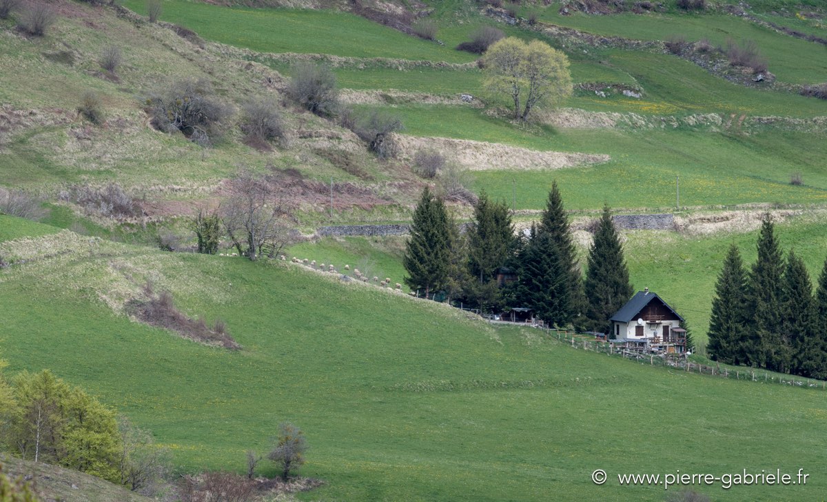 lescun-04-2016_1090.jpg