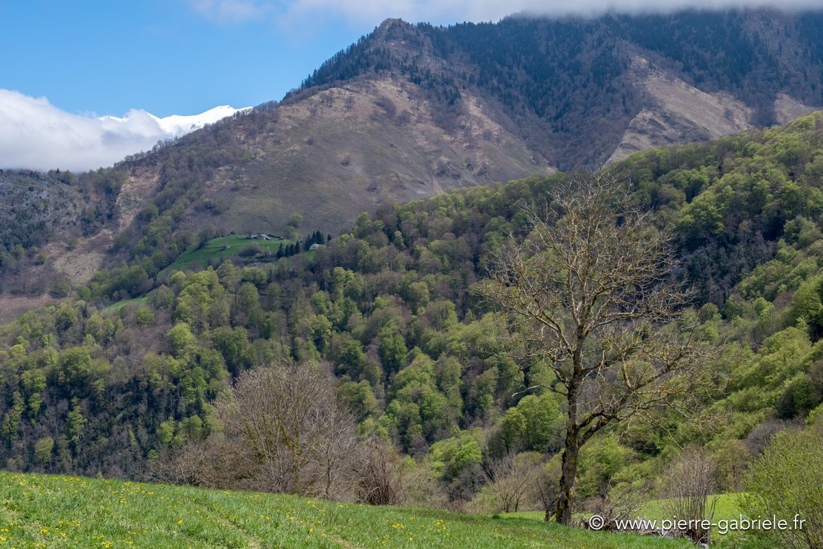 lescun-04-2016_1113.jpg