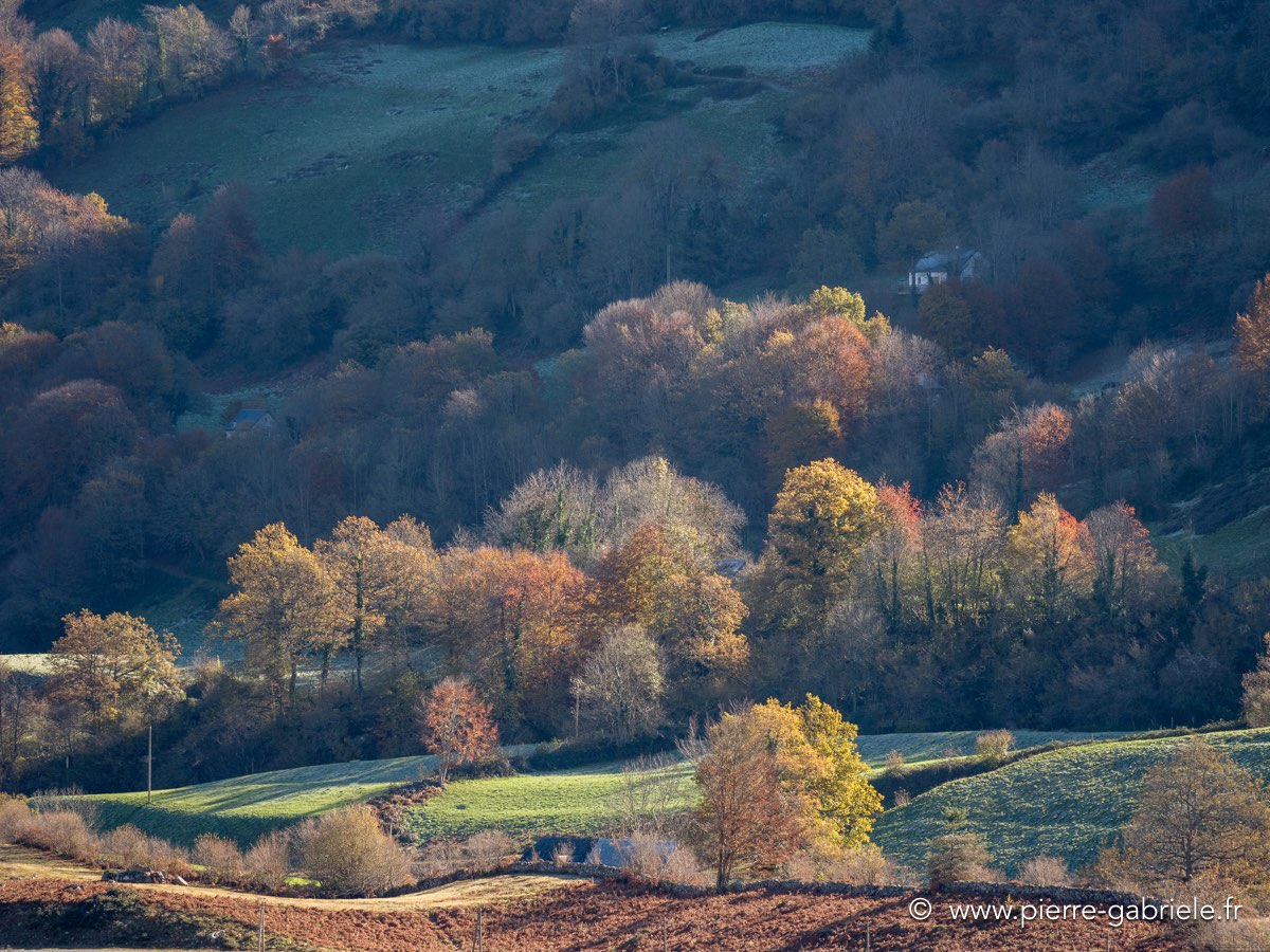 lescun-gx8-leica_0473.jpg