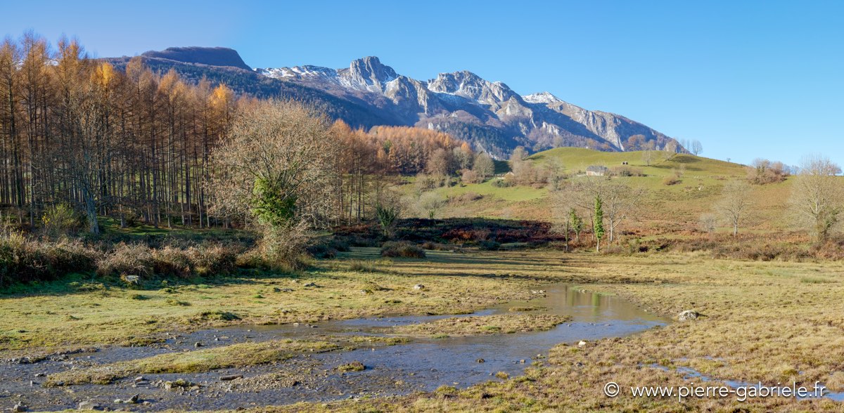 panorama-12-2015-5.jpg
