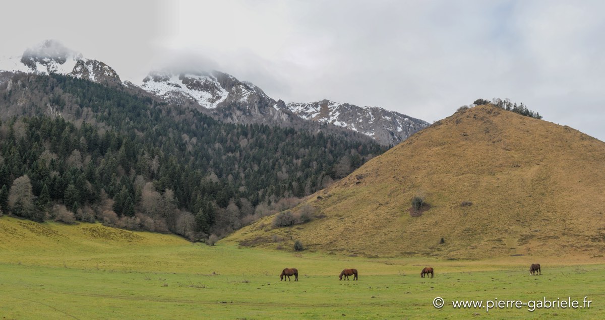panorama-benou-1.jpg