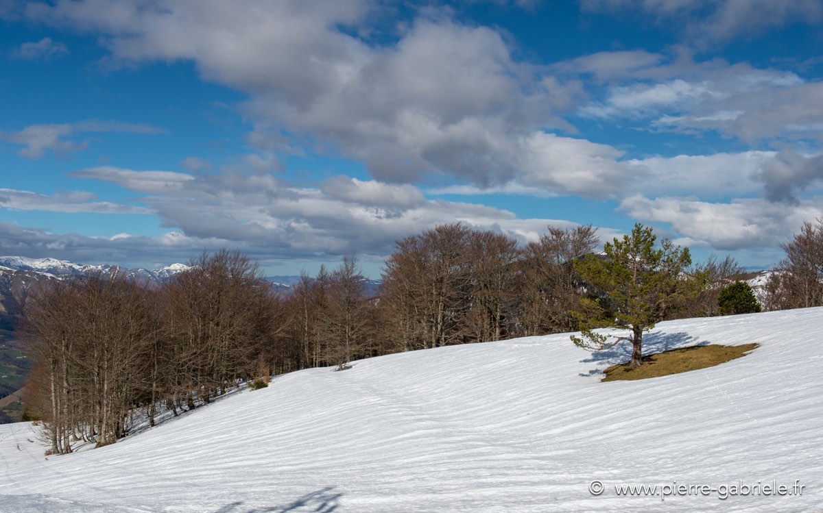 pierre-st-martin-03-2013_5233.jpg